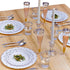 Silver Disposable Plates for Party, 20 Piece Heavy Duty Dinner Set, 7.5”