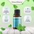 Viva Doria 100% Pure Northwest Peppermint Essential Oil, Undiluted, Food Grade, 15 mL (0.5 Fl Oz)