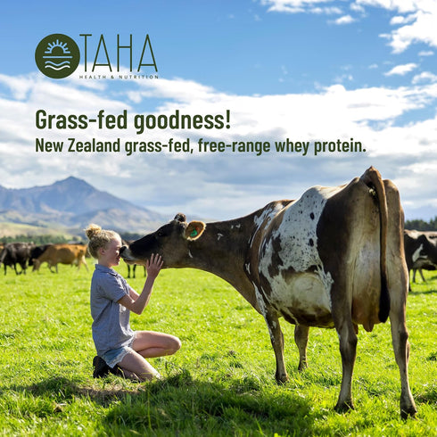 Taha Health & Nutrition Chocolate Whey Protein Concentrate Powder, 25g Protein, 2LB, Gluten Free