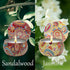 2 Pack Scented Candles Set, Classic 2.5 oz Fresh Sandalwood and Jasmine Aromatherapy Candles for Home Gifts