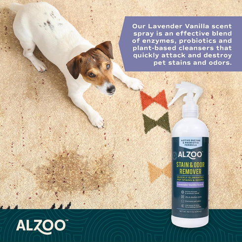 Stain & Odor Remover, Plant-Based Ingredients, Quickly Lifts Pet Stains, Lavender Vanilla Scent, 16 Fl. Oz Spray