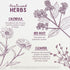 Immune 4oz WishGarden Herbs Lymph Mover - Organic Lymphatic Drainage Drops with Echinacea, Cleavers & Red Root