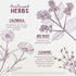 Immune 2oz WishGarden Herbs Lymph Mover - Organic Lymphatic Drainage Drops with Echinacea, Cleavers & Red Root