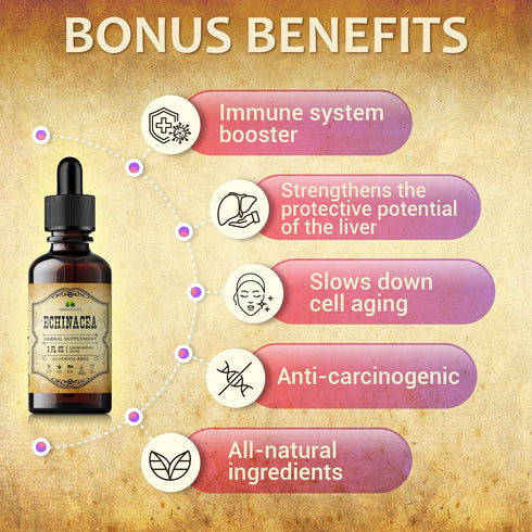 Echinacea Supplement Liquid Drops - Natural Root Extract, Antioxidant Rich for Immune Function Support, Vegan, 2 Fl. Oz.