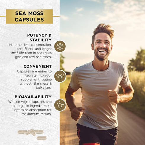 JB Wellness Co 60 Count Sea Moss Black Seed Oil Ashwagandha Turmeric Bladderwrack Burdock - with Manuka, Honey
