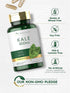 Carlyle Kale Extract 800mg | 120 Capsules | Non-GMO and Gluten Free