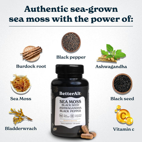 Sea Moss Capsules - 120 Capsules - Irish Sea Moss with Black Seed Oil, Ashwagandha & Black Pepper for Stamina,