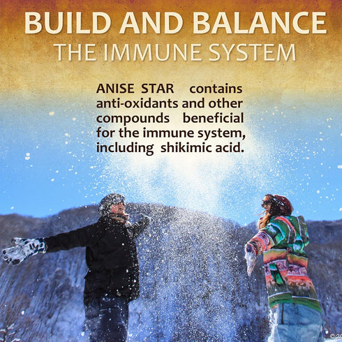 Star Anise Dietary Supplement - 100 Capsules of Anise Extract, 1000mg Natural Formula for Immune Strength and