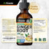Ginger Root Tincture - Organic Ginger Root Extract - Natural Supplements for Overall Wellness - Vegan Drops 2 Fl.Oz.