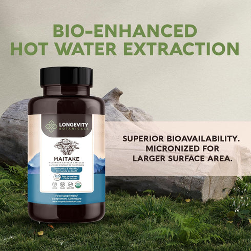 Longevity Botanicals Organic Maitake Mushroom Capsules, Ultra Concentrated Supplement for Balanced Immune System, 100%