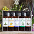 Set, Massage Oil for Massage Therapy Relaxing Massage Oil Pure Essential Oils for Skin Care, Jojoba, Sweet Almond