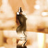 Shakira Dance Midnight Perfume for Women - Long Lasting Floral Gourmand Notes - 1.7 Fl Oz