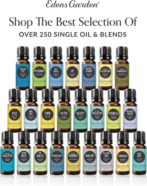Edens Garden Sunshine Spice Essential Oil Synergy Blend - 100% Pure Therapeutic Grade - 10 ml