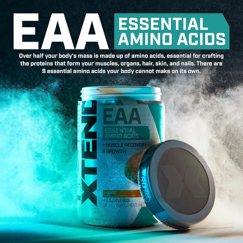 XTEND EAA + BCAA Powder - Muscle Recovery & Lean Muscle Growth with 9 Essential Amino Acids, Lemon Lime (40 Servings)
