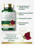 Carlyle Coleus Forskohlii Capsules | 625mg | 100 Count | Non-GMO & Gluten Free Standardized Extract