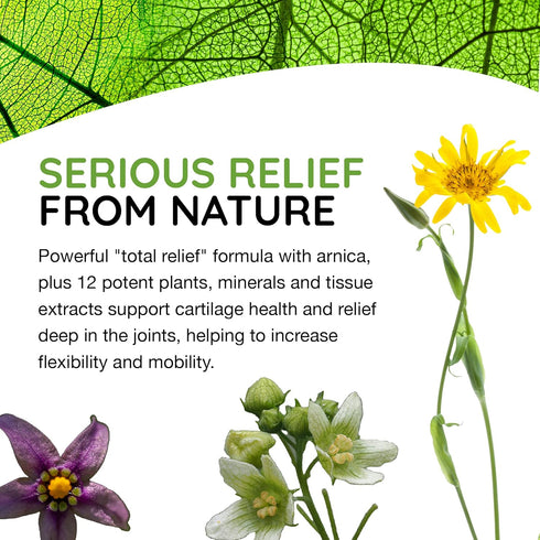 T-Relief Extra Strength Arthritis, Arnica +12 Relieving Natural Pain Medicines Help Ease Soreness, Stiffness, Aches &