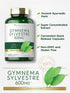 Carlyle Gymnema Sylvestre | 600mg | 200 Count - Non-GMO and Gluten Free Supplement