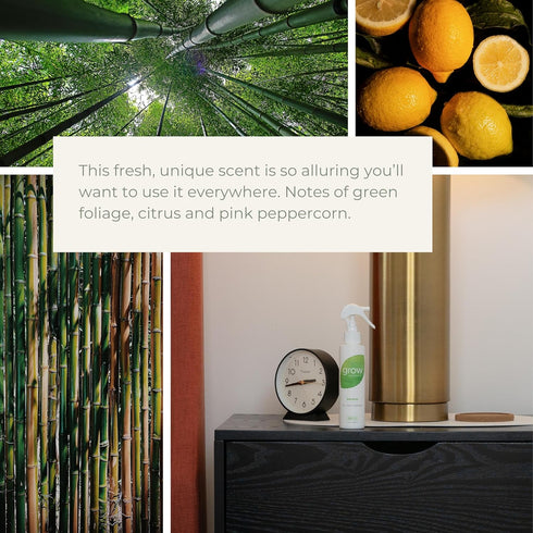 Grow Fragrance Scented Fabric and Room Air Freshener Spray - Certified Non-Toxic, 100% Plant-Based Essential Oils - 5