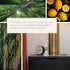 Grow Fragrance Scented Fabric and Room Air Freshener Spray - Certified Non-Toxic, 100% Plant-Based Essential Oils - 5