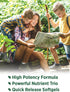 Nature's Truth Vitamin A D K Supplement, 60 Softgels, High Potency of A, D3, K1 & K2, Non-GMO, Gluten Free