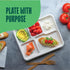 100% Compostable Disposable Paper Plates - 5 Compartment, 125-Pack, Heavy Duty Biodegradable Bagasse Sectional Lunch