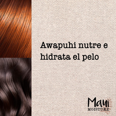 Maui Moisture Shine + Awapuhi Moisturizing Vegan Shampoo, Coconut Oils for Shiny Hair, 13 fl. Oz