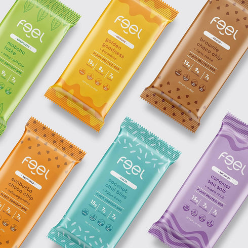 Feel Vegan Protein Bars: Keto, Gluten Free, Organic, 15g Protein, Low Sugar, Variety Pack (6 Pack)