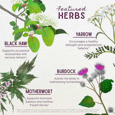 WishGarden Herbs ReBalance After Birth - Plant-Based Herbal Supplement with Vitex Berry & Motherwort for Postpartum