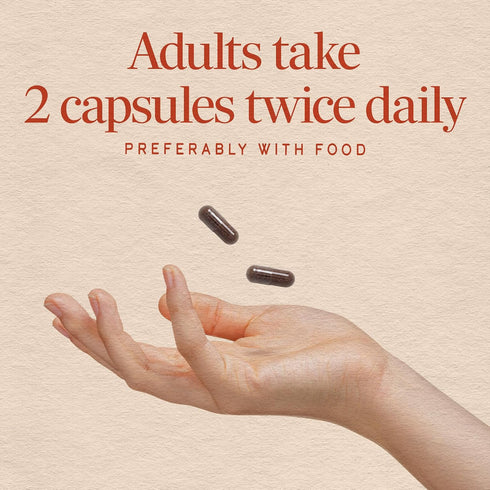 Immune 1,150 2-Capsule 100 Count Natures Way Black Elderberry Capsules, Traditional Support Supplement with Elderberry