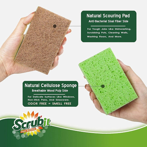 SCRUBIT Natural Sponges, 10 Pack Biodegradable Cellulose and Coconut Kitchen Sponges, Eco Friendly Non Toxic
