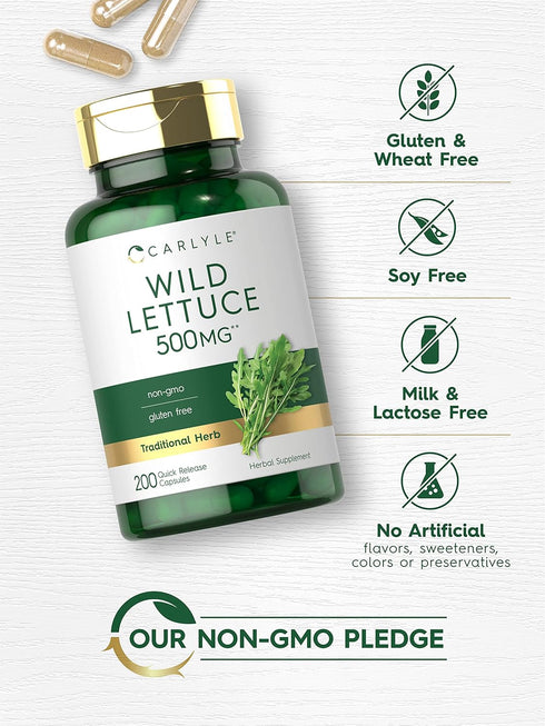 Carlyle Wild Lettuce Extract 500mg | 200 Capsules | Non-GMO, Gluten Free