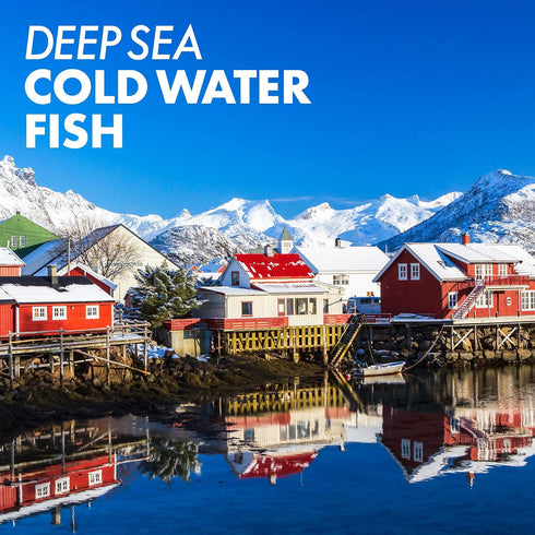 Bluebonnet Nutrition Vitamin A 10,000 IU from Deep Sea, Cold Water, Fish Oil - 100 Softgels - For Eye Health & Immune