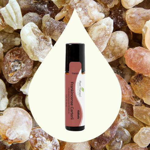 Plant Therapy Frankincense Carterii Essential Oil, 100% Pure, Pre-Diluted Roll-On, Therapeutic Grade, 10 mL (1/3 oz)