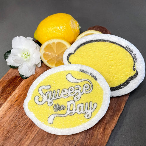 3Pack Lemon Dish Sponges, Fun Fruit Design, Natural & Biodegradable, Odor Resistant & Non-Scratch