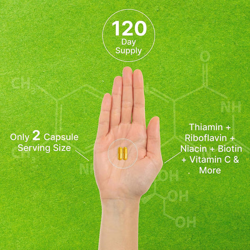 Bioactive Vitamin B Complex, 240 Veggie Capsules - Methylated B Vitamins, Esterified Vitamin C, High Potency, Immune &