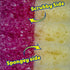 Mommy 3 Pack Scrub Daddy Scrub Dual Sided Cleaning Sponge - Firm Scrubber and Gentle Sponge - Pink