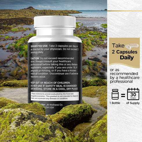 JB Wellness Co 60 Count Sea Moss Black Seed Oil Ashwagandha Turmeric Bladderwrack Burdock - with Manuka, Honey