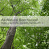 Redecker Horsehair Replacement Head - 2-Inches, Made with Untreated Beechwood