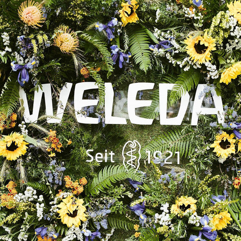 Weleda Hydrating Night Face Cream, 1 Fluid Ounce - Plant Rich Moisturizer with Iris Root