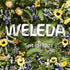 Weleda Hydrating Night Face Cream, 1 Fluid Ounce - Plant Rich Moisturizer with Iris Root