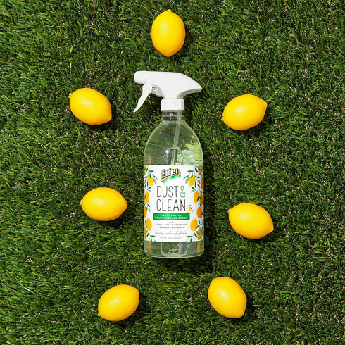 Endust Plant-based Multi-surface Dusting & Cleaning Spray - 24 Fl Oz, Pack of 2
