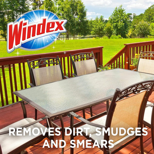 Windex Concentrated Outdoor Glass Cleaner - Patio Cleaner with Hose Attachment, 32 Fl Oz, Pack of 2