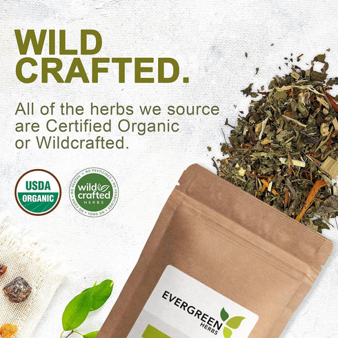 Burdock Root Cut & Sifted 8 oz. (227 grams), Wildcrafted Arctium lappa, Resealable Bag for Freshness