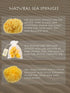 Natural Yellow Sea Silk Sponges, Pack of 5 in Organza Bag, Great for Cosmetic Use