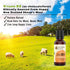 Organic Liquid Vitamin D Drops for Kids & Adults, Sugar Free, 1,000 IU/Drop in Coconut MCT Oil, Great Taste