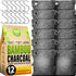 Charcoal Odor Absorber for Strong Odor, Large, 12 Pack, 100g Each, Bamboo Charcoal Purifying Bag