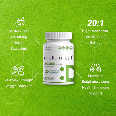 DEAL SUPPLEMENT Mullein Leaf Extract 20,000mg, 240 Veggie Capsules – Natural Lung Detox Herbal Supplement
