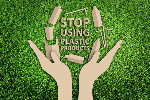 Plant Based Drinking Straws by StrawPanda - Eco Friendly Alternative to Plastic Straws, BPA Free (250 Pack)