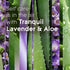 Glade Automatic Spray Refill, Air Freshener for Home, Tranquil Lavender & Aloe, 6.2 Oz