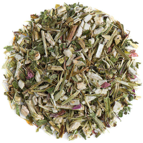 Purple Coneflower Herb Echenecia Tea - Immunity Support Tea - Echinacea Tea